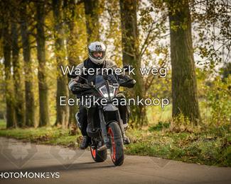 Herfstrit Moerzeke photo