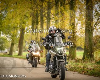 Herfstrit Moerzeke photo