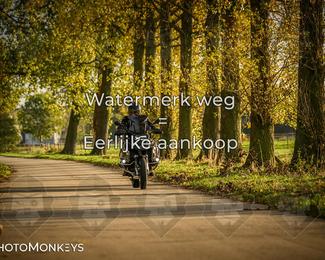 Herfstrit Moerzeke photo