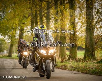 Herfstrit Moerzeke photo