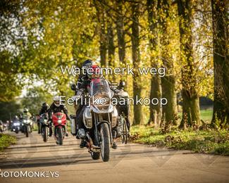 Herfstrit Moerzeke photo