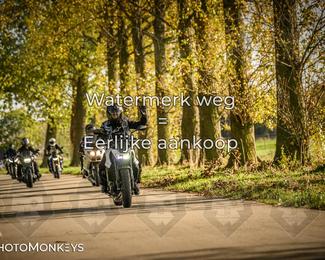 Herfstrit Moerzeke photo