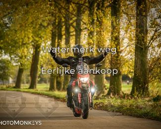 Herfstrit Moerzeke photo