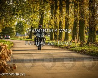 Herfstrit Moerzeke photo