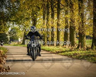 Herfstrit Moerzeke photo