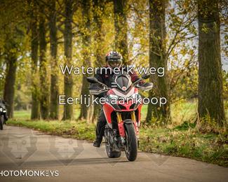 Herfstrit Moerzeke photo