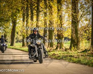 Herfstrit Moerzeke photo