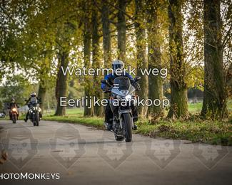 Balade d’automne Moerzeke photo