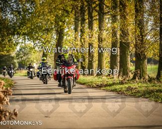 Herfstrit Moerzeke photo