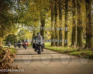 Herfstrit Moerzeke photo