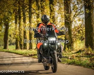 Herfstrit Moerzeke photo