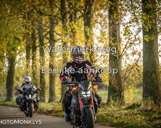 Herfstrit Moerzeke photo