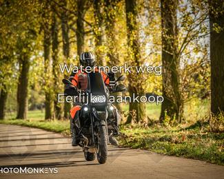 Herfstrit Moerzeke photo