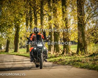 Herfstrit Moerzeke photo