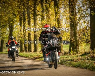 Herfstrit Moerzeke photo