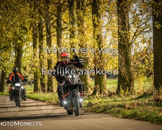 Herfstrit Moerzeke photo