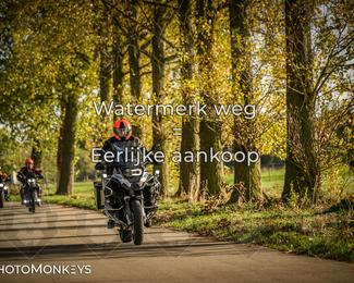 Herfstrit Moerzeke photo