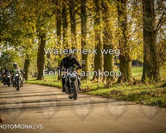 Herfstrit Moerzeke photo