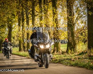 Herfstrit Moerzeke photo