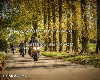 Herfstrit Moerzeke photo