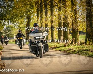 Herfstrit Moerzeke photo