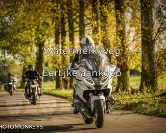 Herfstrit Moerzeke photo