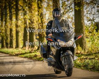 Herfstrit Moerzeke photo