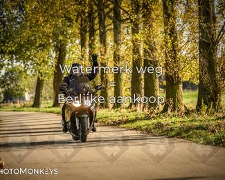 Herfstrit Moerzeke photo