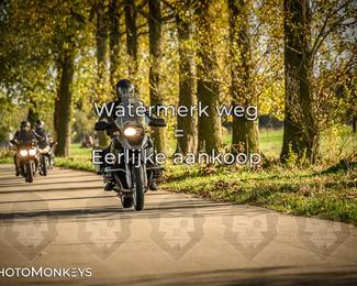 Herfstrit Moerzeke photo