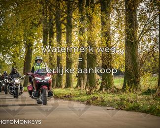 Herfstrit Moerzeke photo