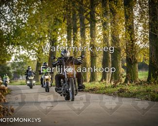 Herfstrit Moerzeke photo