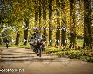 Herfstrit Moerzeke photo