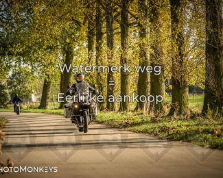 Herfstrit Moerzeke photo