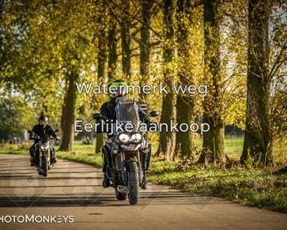 Herfstrit Moerzeke photo