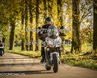 Herfstrit Moerzeke photo