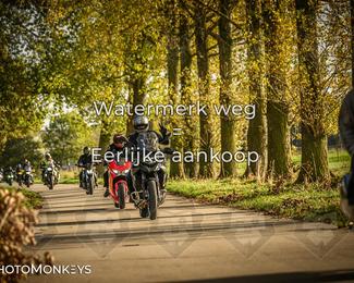 Herfstrit Moerzeke photo