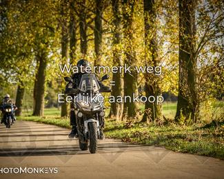 Herfstrit Moerzeke photo