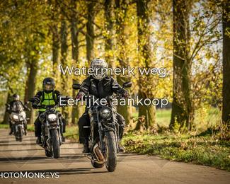 Herfstrit Moerzeke photo