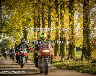 Herfstrit Moerzeke photo