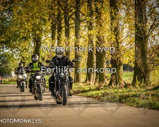 Herfstrit Moerzeke photo