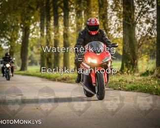 Herfstrit Moerzeke photo