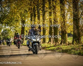 Herfstrit Moerzeke photo