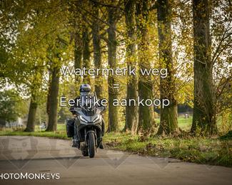 Herfstrit Moerzeke photo