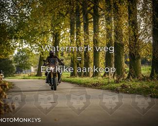 Herfstrit Moerzeke photo