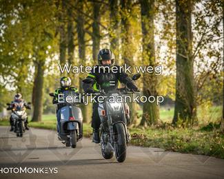 Herfstrit Moerzeke photo