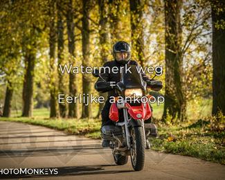 Herfstrit Moerzeke photo