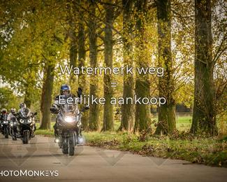 Herfstrit Moerzeke photo