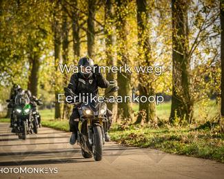 Herfstrit Moerzeke photo