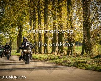 Herfstrit Moerzeke photo