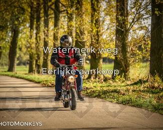 Herfstrit Moerzeke photo